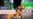 Dogs_Thumbs_07_Baron_PF