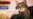 Dogs_Thumbs_11_Stepan_PF