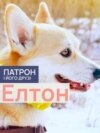 DOGS_ETLON_PORT