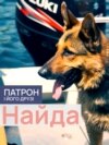 DOGS_NAYDA_PORT