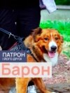 DOGS_BARON_PORT