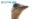 Baltic_230428_BG