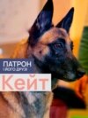 DOGS_KEYT_PORT