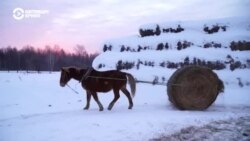 Человек на карте: сибирская ферма